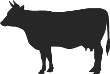 黒毛和牛専門店 Premium Wagyu Beef SHIBATA厳選黒毛和牛テイスティングコースのイメージロゴ
